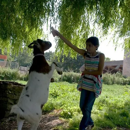 Bed & Breakfast La Vieille Ferme Fresne-la-Mere