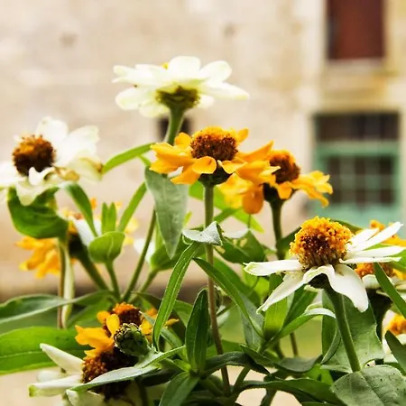 La Vieille Ferme Bed & Breakfast