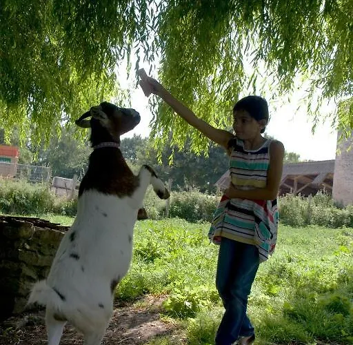 Bed & Breakfast La Vieille Ferme Fresne-la-Mere