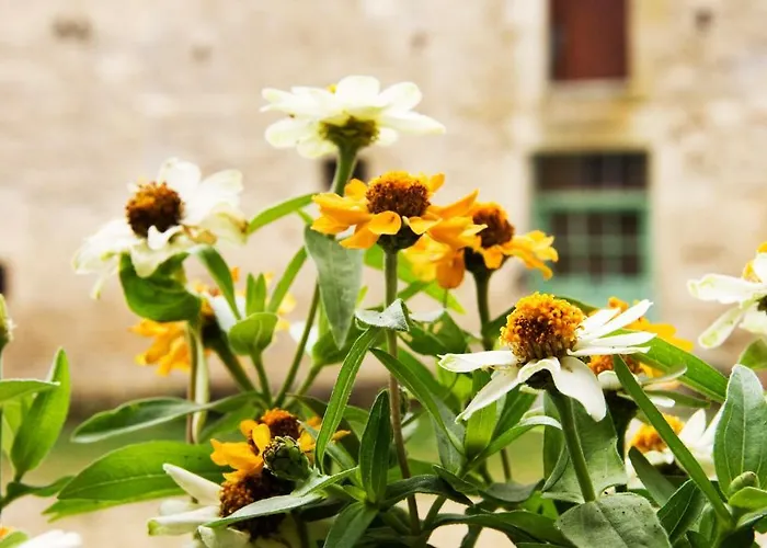 La Vieille Ferme Bed & Breakfast